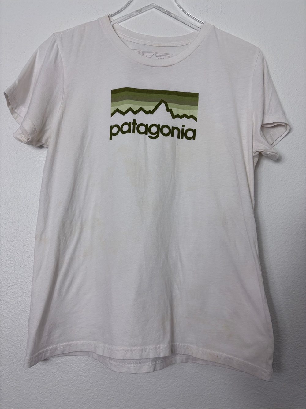 Patagonia White Tee with Green Mountain Stripe Logo